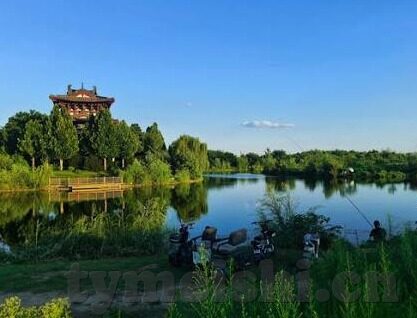 麻豆天美传媒视频-麻豆天美传媒视频，镜中世界的多样化探索